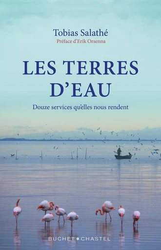 Terres d'eau. Douze services qu’elles nous rendent - Tobias Salathé - Libella