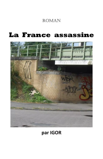 La France assassine -  Igor - Librinova