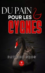 Du pain pour les cygnes