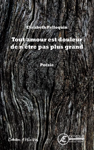 Tout amour est douleur de n'être pas plus grand - Elisabeth Pelloquin - Ex Aequo