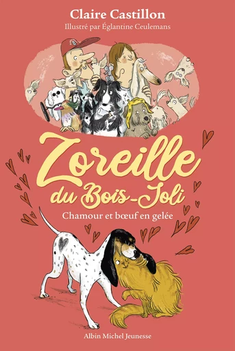 Zoreille du Bois-Joli - tome 2 - Chamour et boeuf en gelée - Claire Castillon - Albin Michel