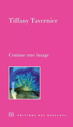 Comme une image - Tiffany Tavernier - Editions Gallimard