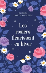 Les rosiers fleurissent en hiver