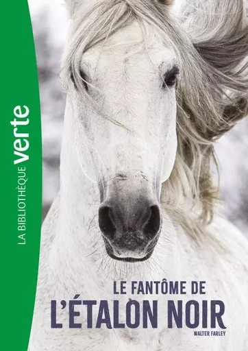 L'Etalon noir NED 16 - Le fantôme de l'Étalon Noir - Walter Farley - Hachette Jeunesse