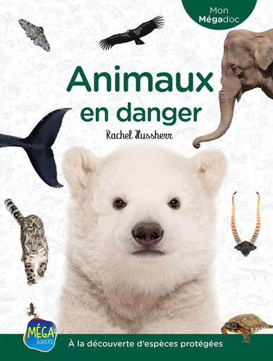 Animaux en danger - Rachel Hussherr - Méga Éditions