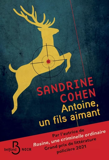 Antoine, un fils aimant - Après Rosine, une criminelle ordinaire, découvrez le nouveau roman de Sandrine Cohen - Sandrine Cohen - Place des éditeurs