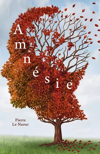 Amnésie - Pierre Le Naour - Librinova