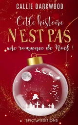 Cette histoire n'est pas une romance de noël