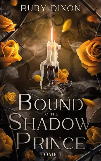 Bound to the shadow prince - Tome 1 - Ruby Dixon - BMR