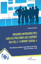 Regards introspectifs sur les postures de l'expert du CSE, l'"expert social",