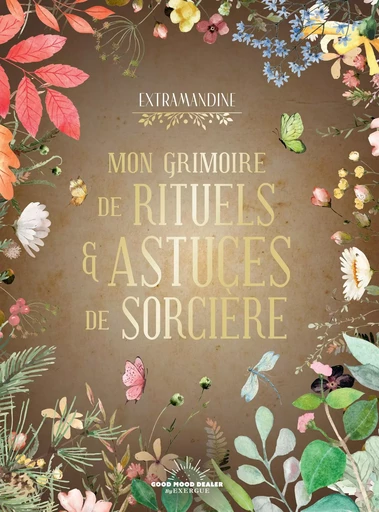 Mon Grimoire de rituels et astuces de sorcière - Amandine Faus - Courrier du livre