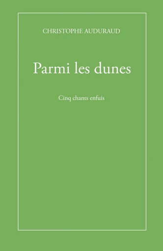 Parmi les dunes - Christophe Auduraud - Librinova