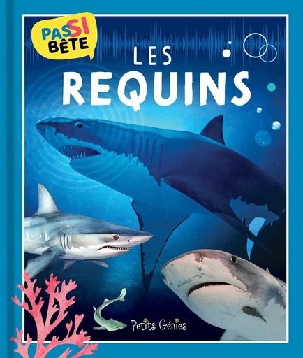 Pas si bête LES REQUINS - Pierre-Alexandre Bonin - Petits Génies