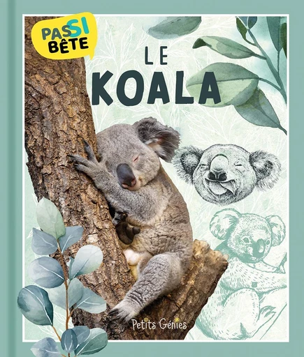 Pas si bête Le KOALA - Pierre-Alexandre Bonin - Petits Génies