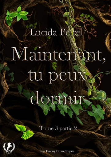 Maintenant, tu peux dormir - Tome 3 - Lucida Pétrel - Art en Mots Éditions