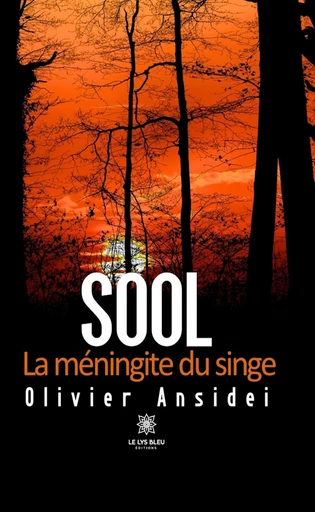 Sool - Olivier Ansidei - Le Lys Bleu Éditions