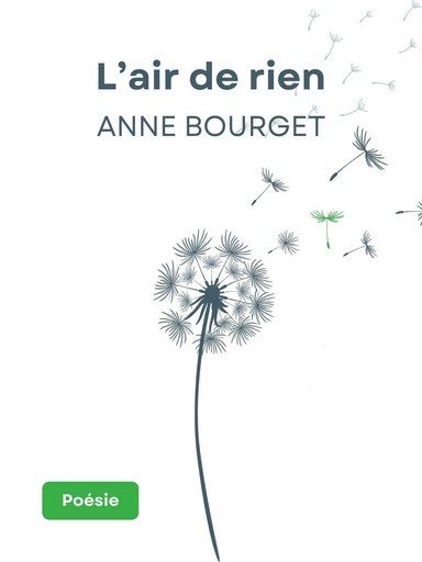 L’air de rien - Anne Bourget - Librinova