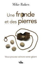 Une fronde et des pierres