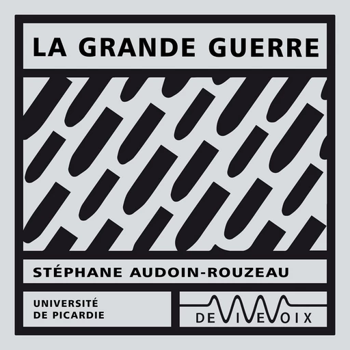 La Grande Guerre - Stéphane Audoin-Rouzeau - CNRS editions