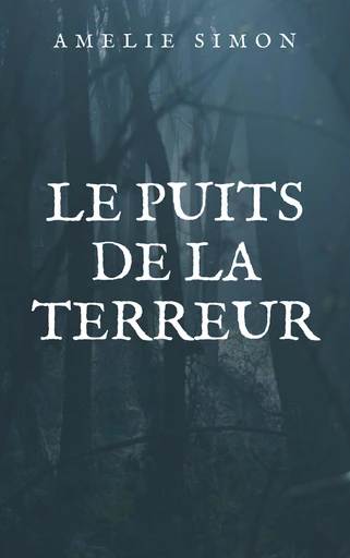 Le Puits de la terreur - Amélie Simon - Librinova