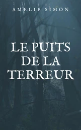 Le Puits de la terreur