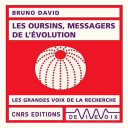 Les oursins, messagers de l'évolution