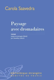 Paysage avec dromadaires