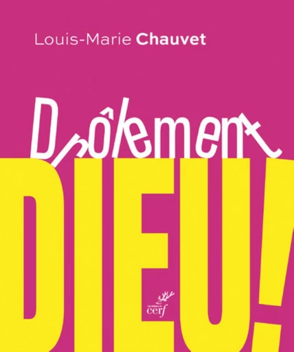 DROLEMENT DIEU ! - HUIT PARABOLES DE JESUS -  CHAUVET LOUIS-MARIE,  SAINT-MACARY DOMINIQUE,  SINIZERGUES PIERRE - Editions du Cerf