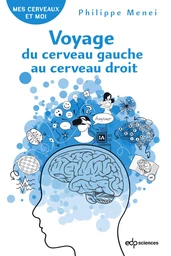 Voyage du cerveau gauche au cerveau droit