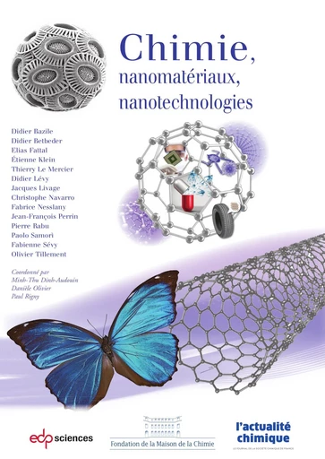 Chimie, nanomatériaux, nanotechnologies - Minh-Thu Dinh-Audouin, Danièle Olivier, Paul Rigny - EDP sciences