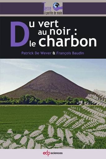 Du vert au noir : le charbon - Patrick De Wever - EDP sciences