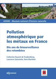 Pollution atmosphérique par les métaux en France