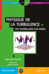 Physique de la turbulence