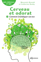 Cerveau et odorat