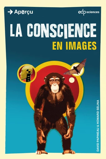 La Conscience en images - David PAPINEAU - EDP sciences