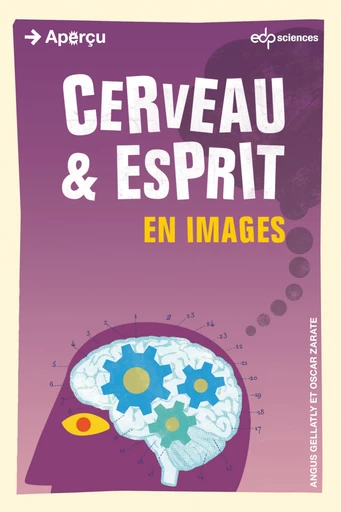 Cerveau et esprit en images - Angus Gellatly - EDP sciences