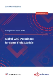 Global Well-Posedness for Some Fluid Models