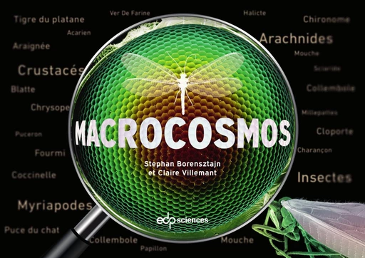 Macrocosmos - Claire Villemant - EDP sciences