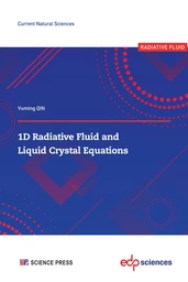 1D Radiative Fluid and Liquid Crystal Equations