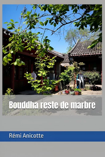 Bouddha reste de marbre - Rémi Anicotte - Bookelis