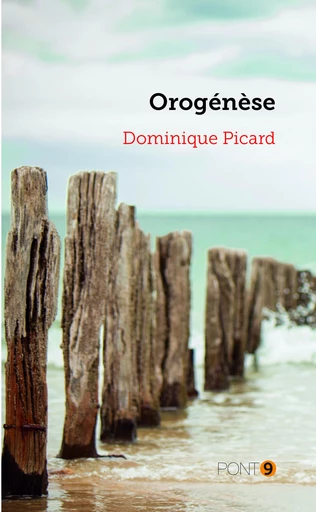 Orogénèse - Dominique Picard - Au Pont 9