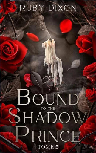 Bound to the shadow Prince - tome 2 - Ruby Dixon - BMR