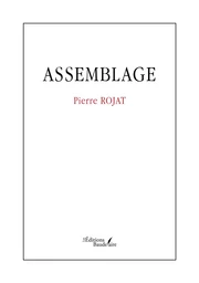 Assemblage