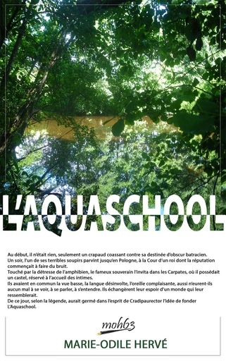 L'Aquaschool - Marie-Odile Hervé - Librinova