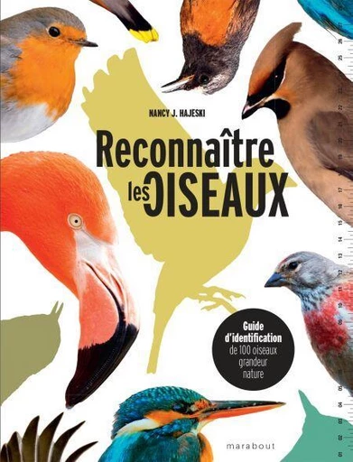 Reconnaître les oiseaux - Nancy J. Hajeski - Marabout