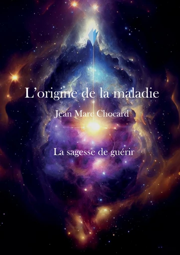 La sagesse de guérir - Jean-Marc Chocard - Stylit