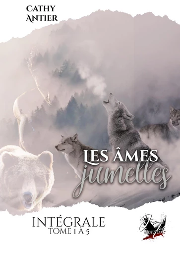 Les Âmes-Jumelles - Cathy Antier - Jenn Ink Editions