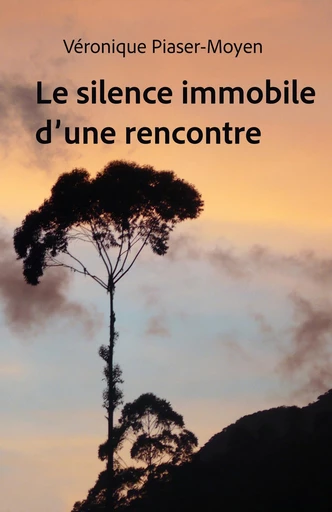 Le Silence immobile d’une rencontre - Véronique Piaser-Moyen - Librinova