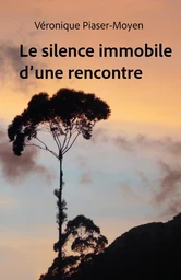 Le Silence immobile d’une rencontre