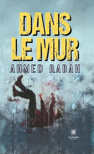 Dans le mur - Ahmed Rabah - Le Lys Bleu Éditions